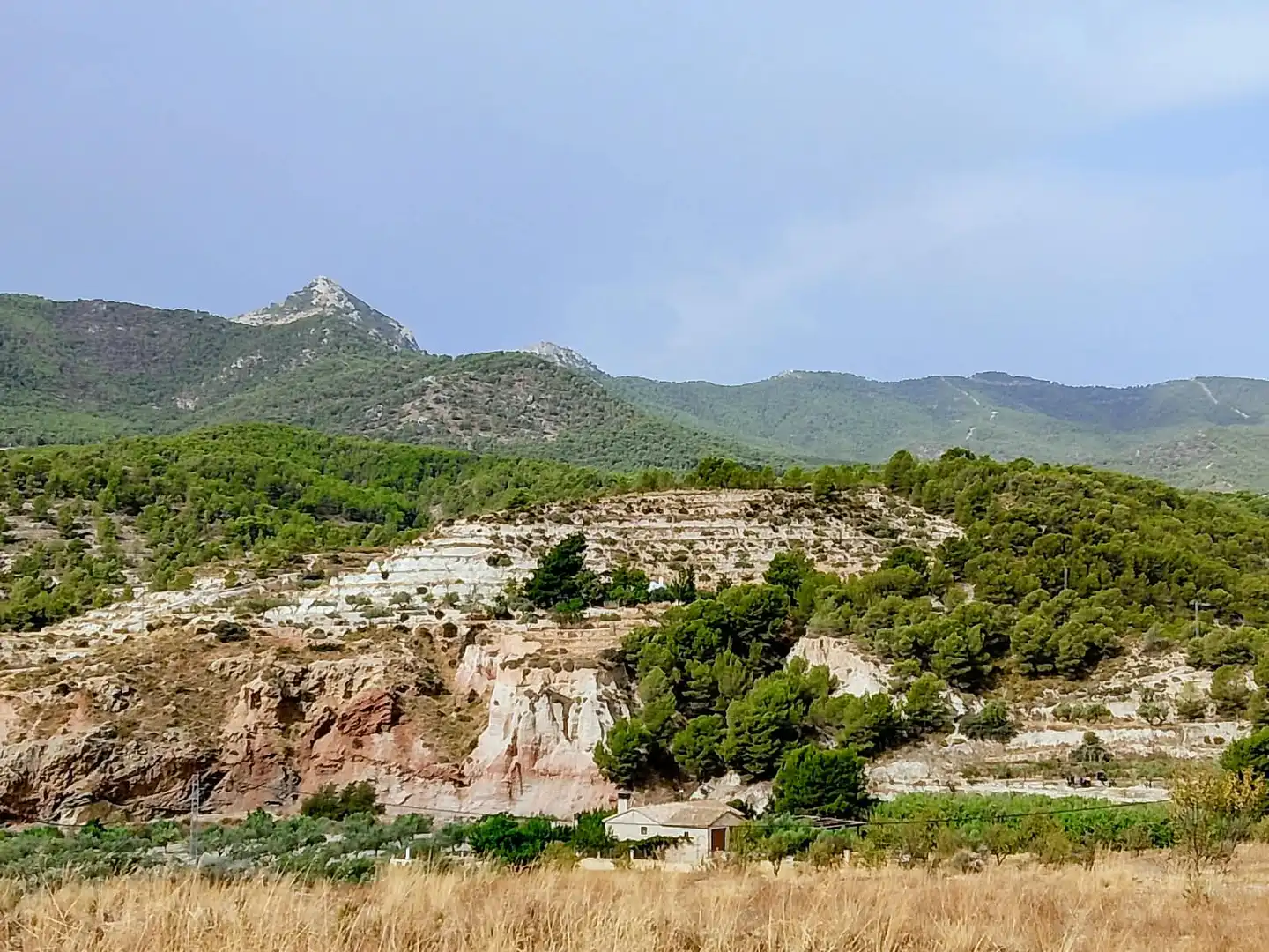 Terreno rustico in vendita a Lugar Castillo, imagen 3