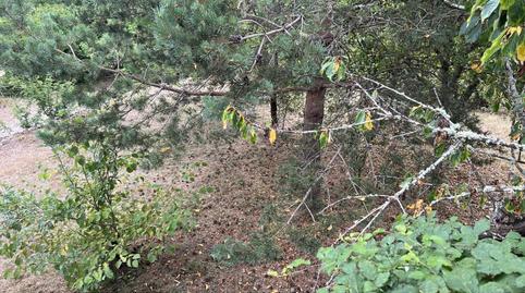 Photo 5 of Residential for sale in Calle Los Caños, 7, Merindad de Valdeporres, Burgos