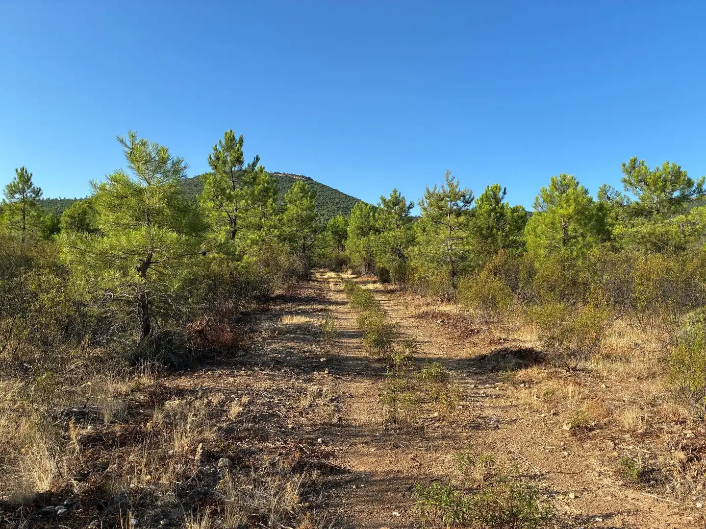 Rural land for sale in Puerto de San Vicente, imagen 10