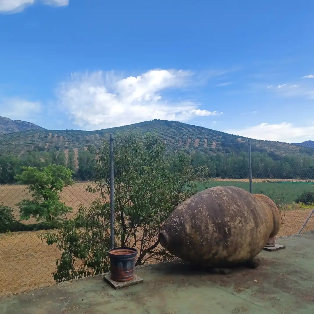 Finca rústica en venta en Villanueva del Rosario con Jardín privado, Terraza y Trastero
