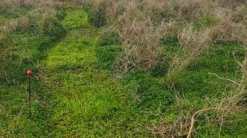 Photo 3 of Residential for sale in Lugar Jardin del Sol, Santa Catalina, Tacoronte