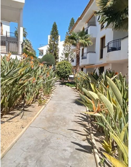 Vista exterior de Apartament en venda en L'Alfàs del Pi amb Aire condicionat, Traster i Piscina comunitària