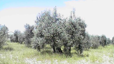 Photo 5 of Country homes for sale in Barillas, Navarra