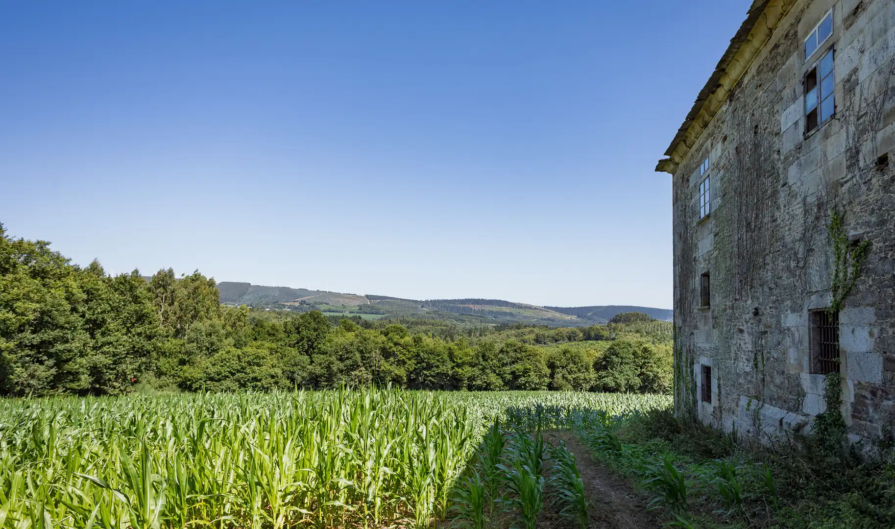Vista exterior de Finca rústica en venta en Castroverde con Amueblado