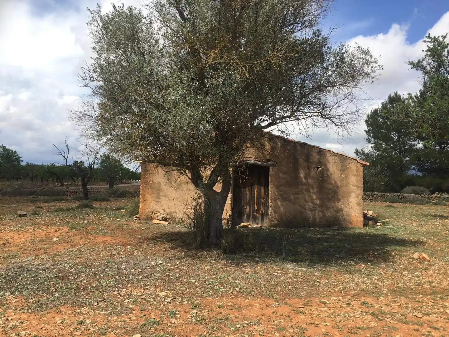 Casa rústica en venda a Vall d'Alba, imagen 6