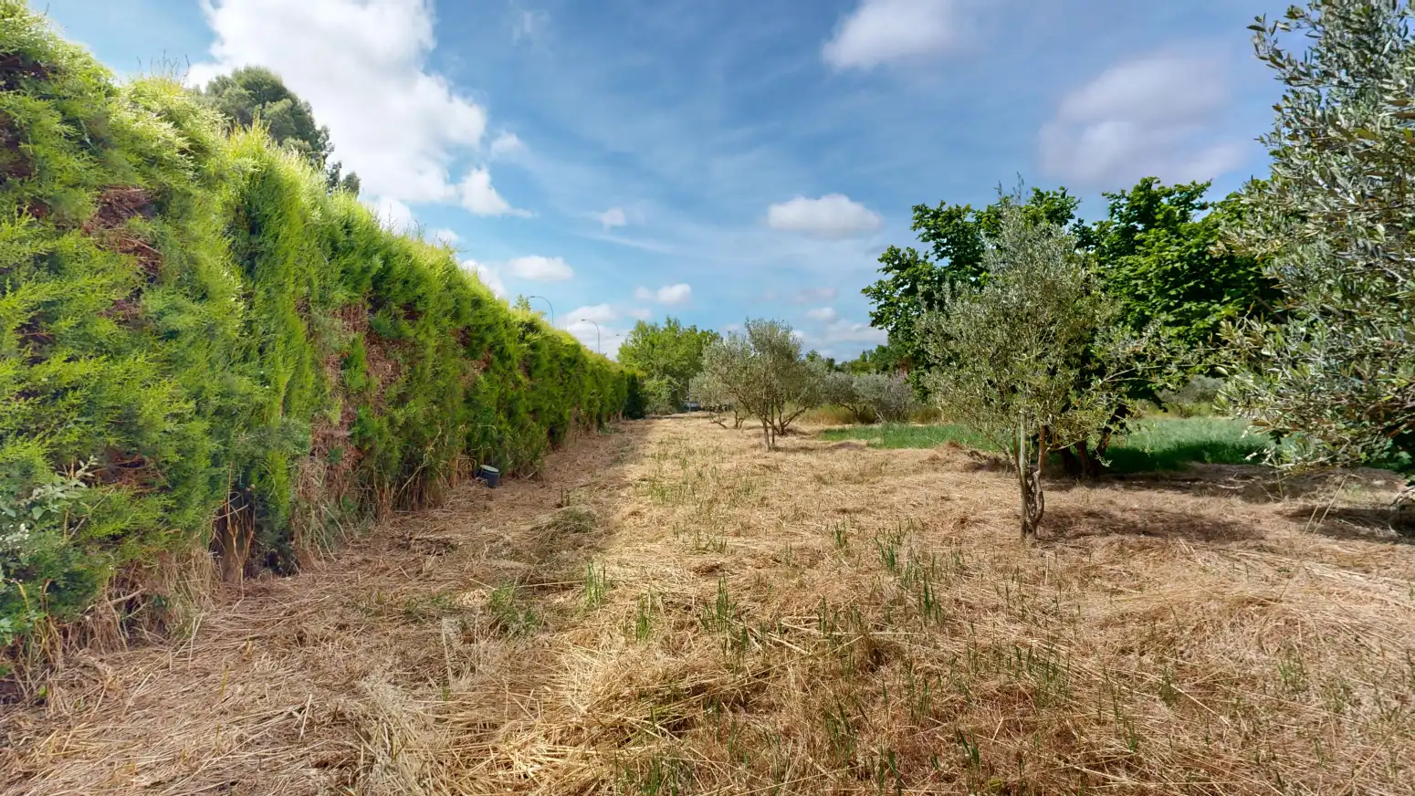 Rural land for sale in Tafalla - PARAJE LA RECUEJA, imagen 66