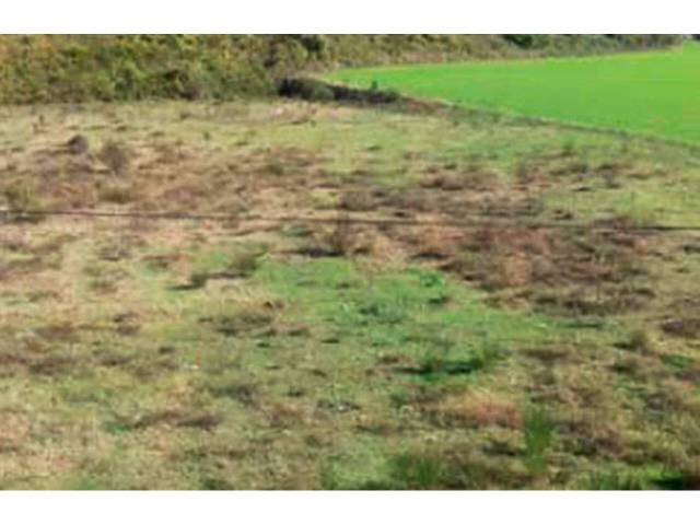 Terreno en Venta en PTDA LES FORQUES  en Campdevànol