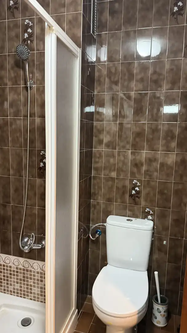 Bathroom of Flat for rent in Elche ciudad