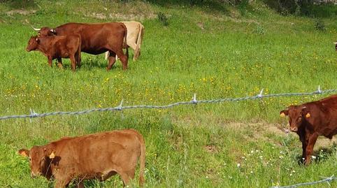 Foto 4 de Residencial en venta en Badajoz, Centro, Badajoz