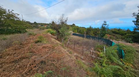 Foto 4 de Finca rústica en venda a Icod de los Vinos pueblo, Santa Cruz de Tenerife