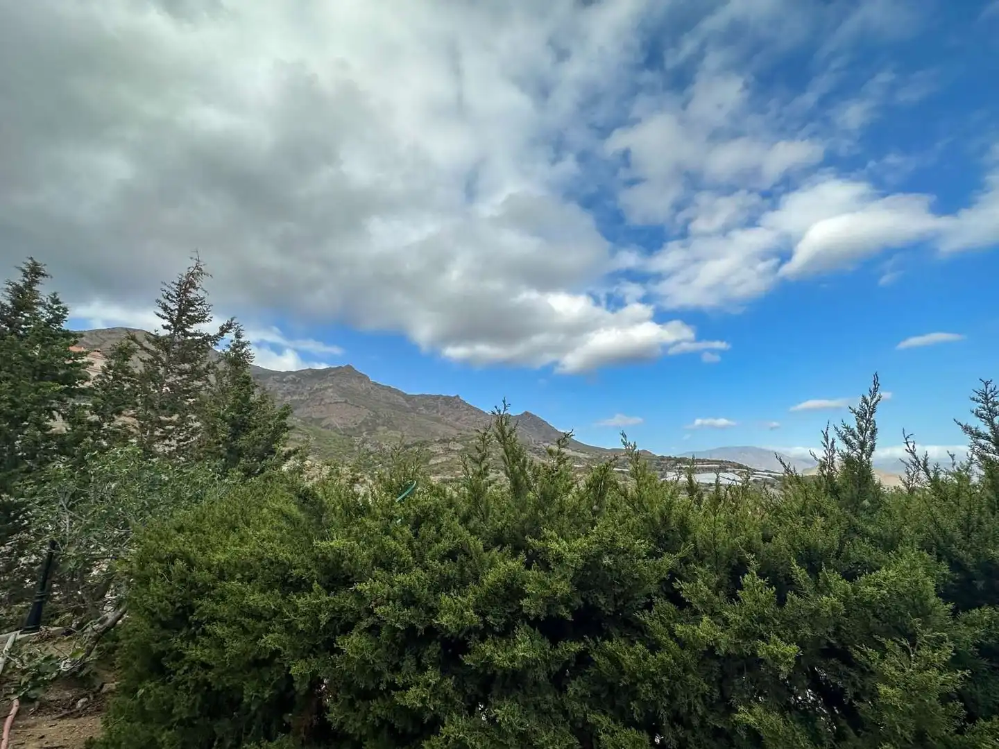 Vista exterior de Casa o chalet en venta en Molvízar con Terraza y Piscina