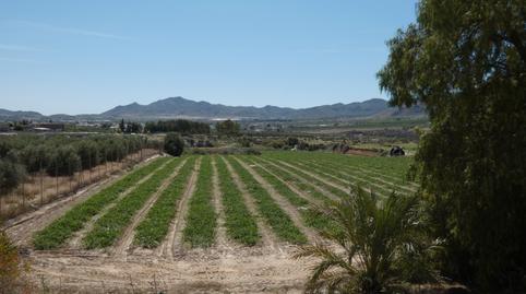 Foto 4 de Finca rústica en venta en Paraje el Alcauzon, 8, Huércal-Overa, Almería