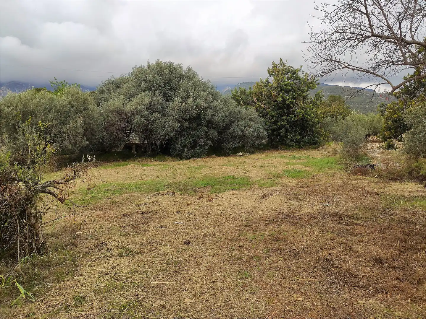 Terrain rustique à vendre à Alcanar, imagen 7