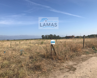 Land for sale in Casatejada