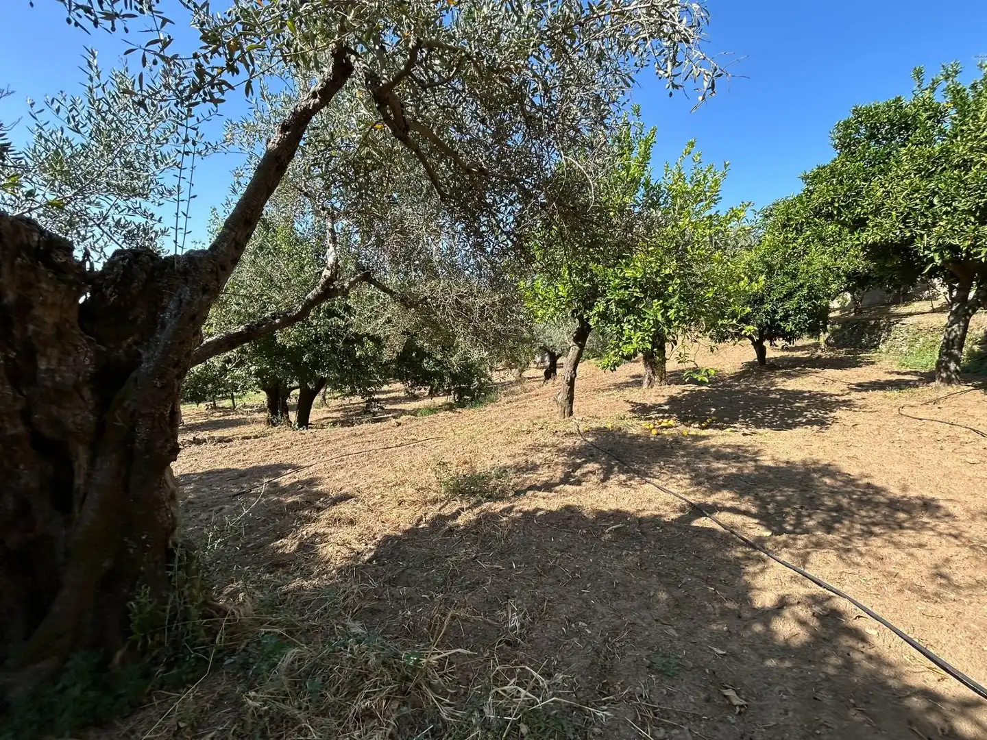 Casa o chalet en venta en Perales del Puerto con Aire acondicionado, Calefacción y Jardín privado
