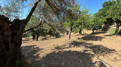 Foto 2 de Casa o chalet en venta en Perales del Puerto, Cáceres