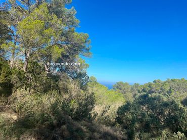 Terreno rustico in vendita a de Cala d'Hort