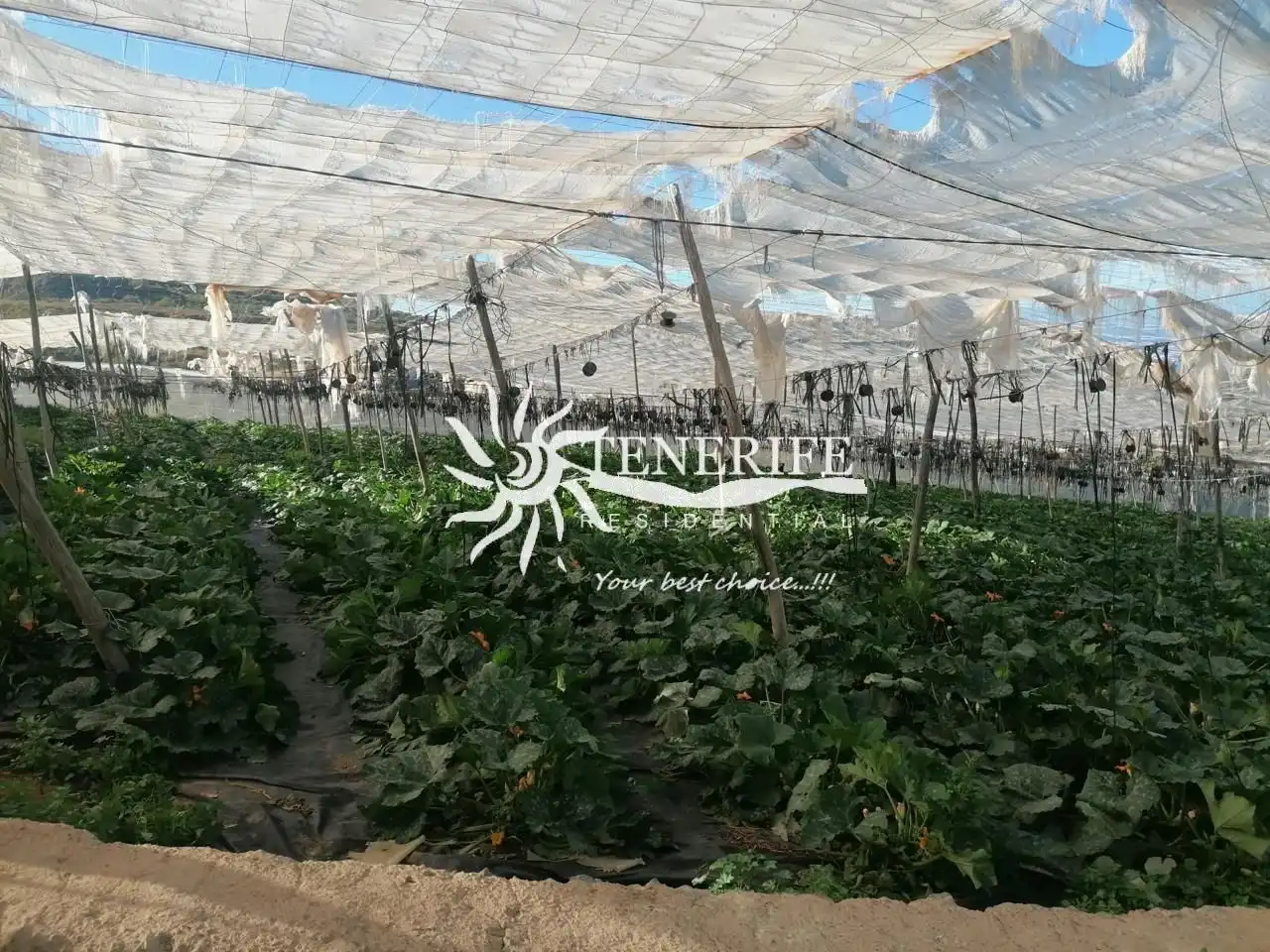 Terrenos y solares en venta en TF-82, imagen 7