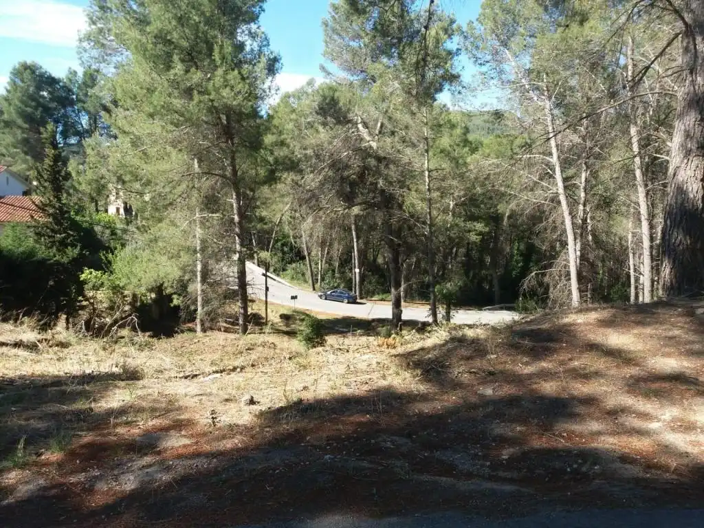 Terreny rústic en venda a MARE DE DEU DE MONTSERRAT, imagen 3