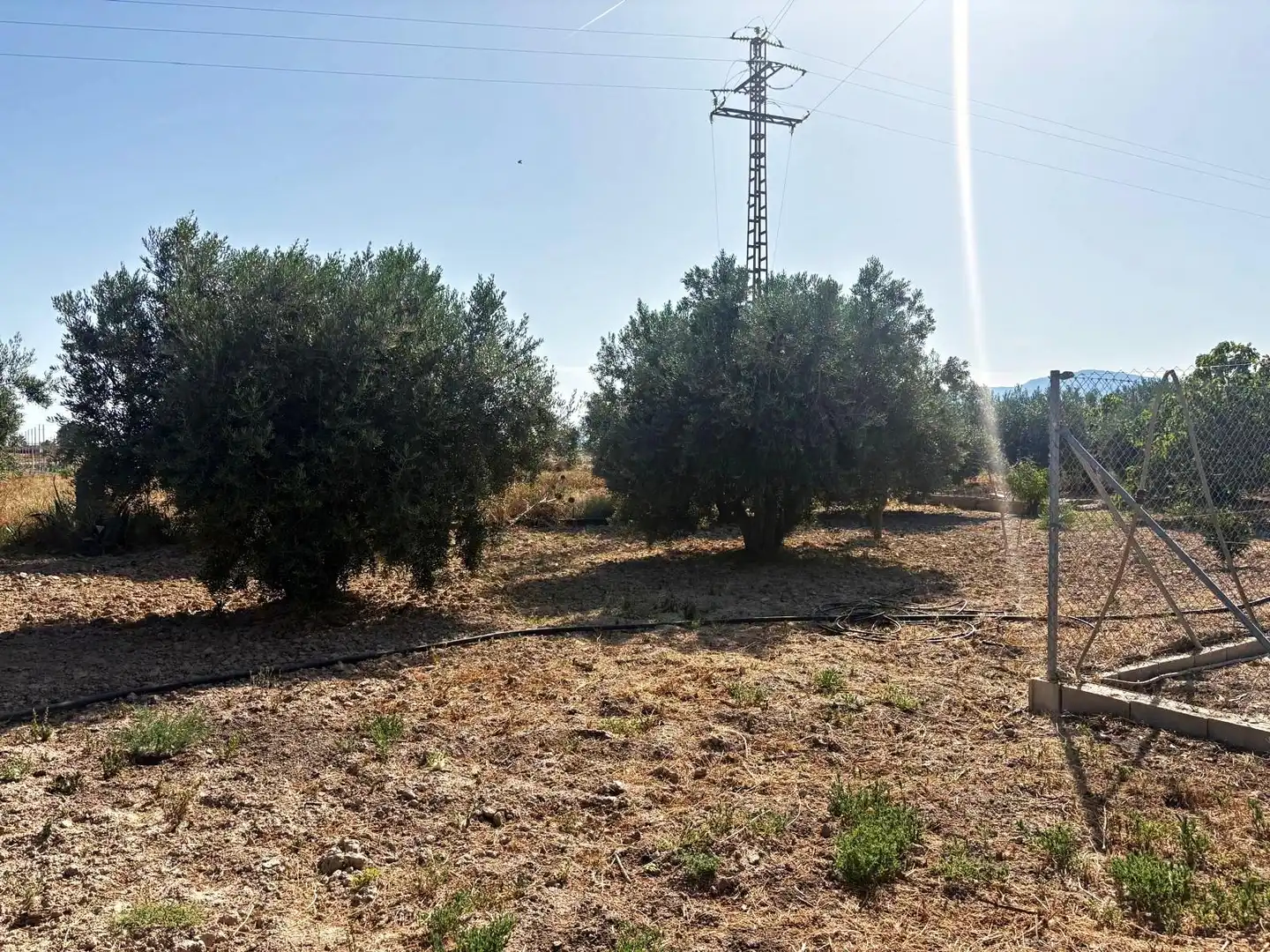 Terreno en venta en Totana