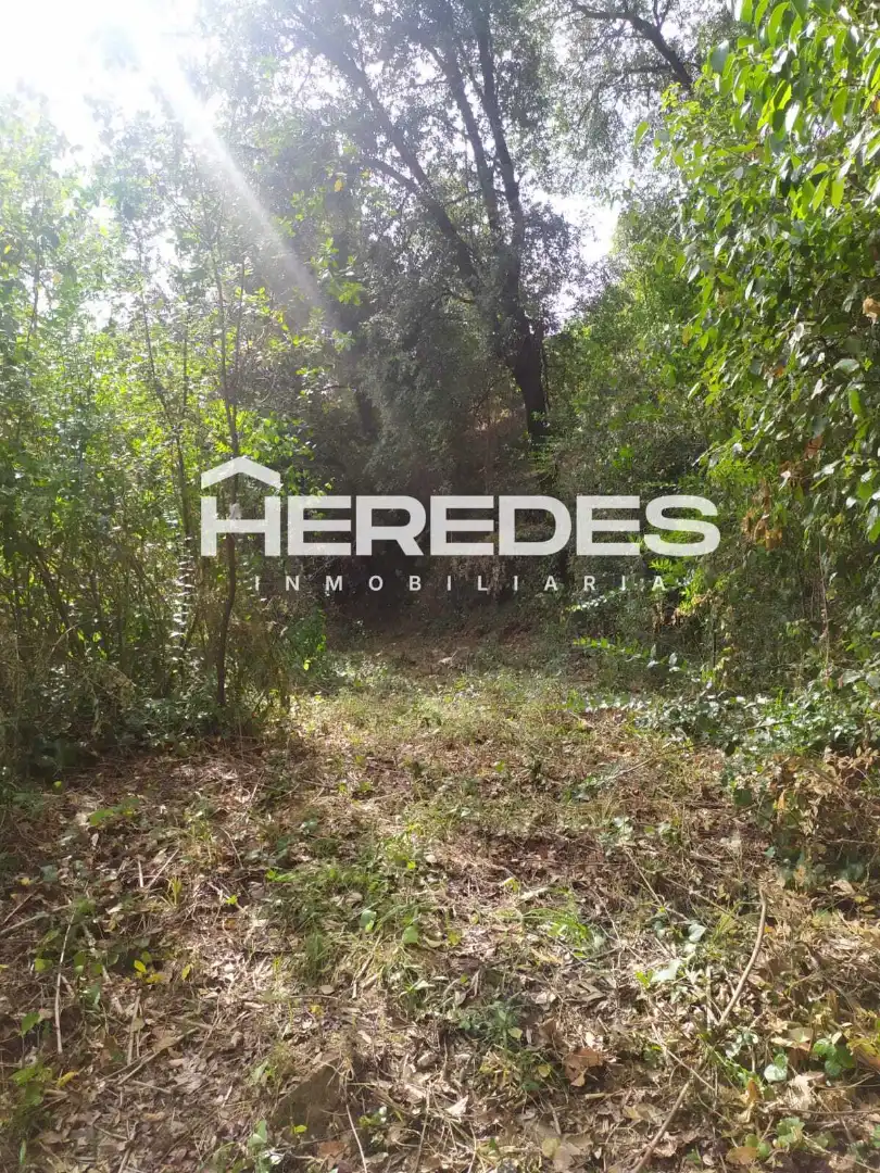 Terreno residencial en venta en Carrer Finestrelles 8, imagen 16