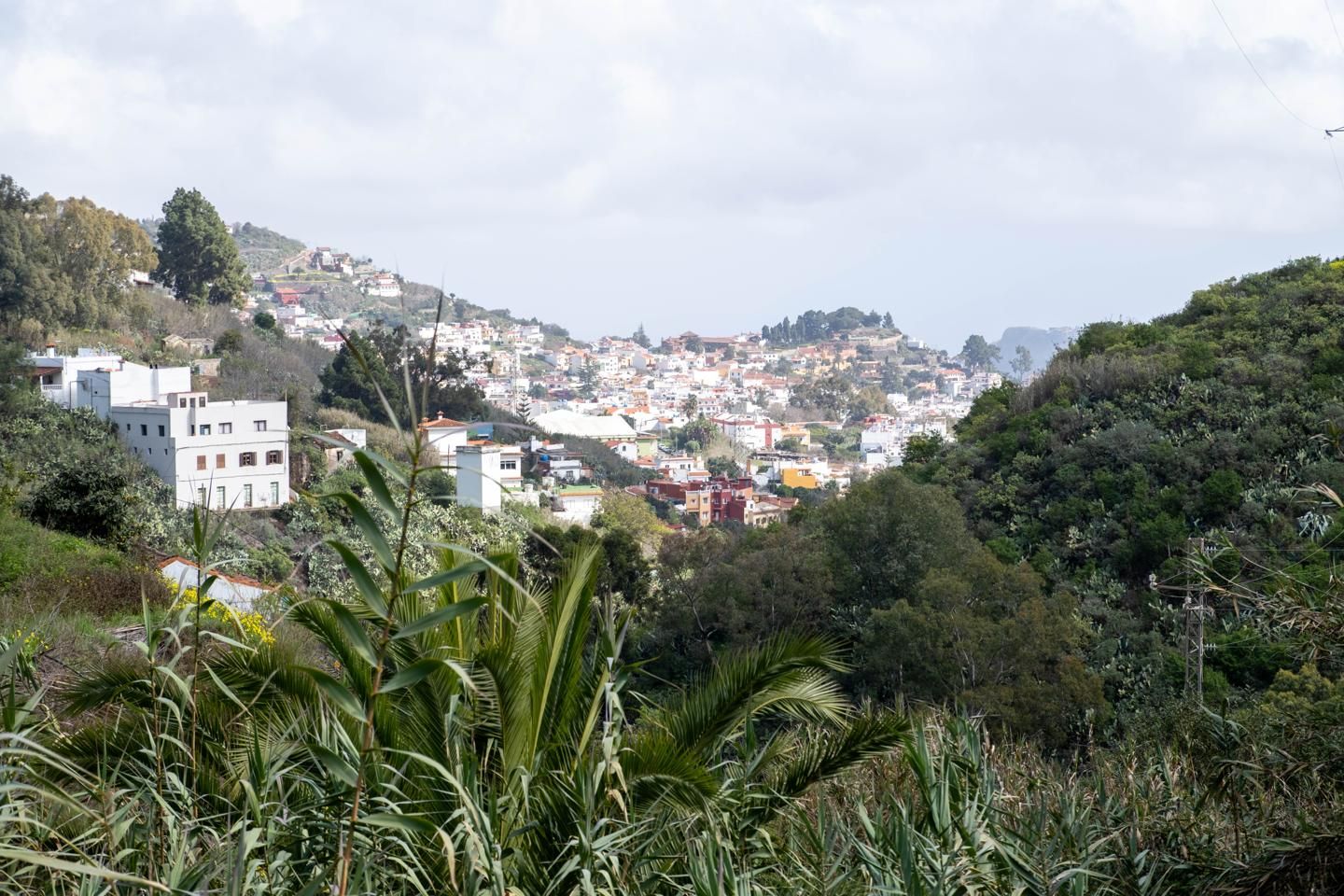 Vista exterior de Finca rústica en venda en Teror
