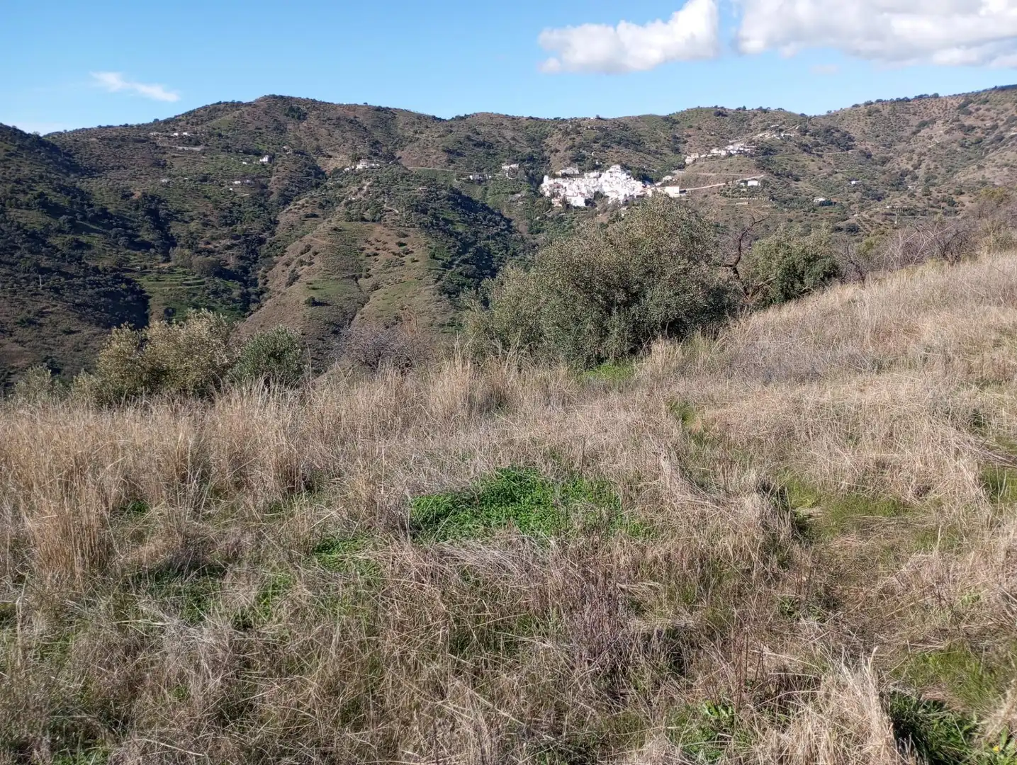 Land for sale in Málaga