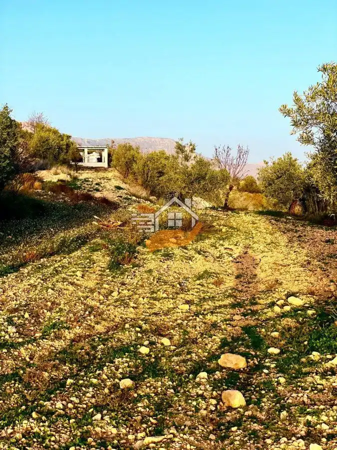 Lands and plots for sale in Vélez-Rubio, imagen 19