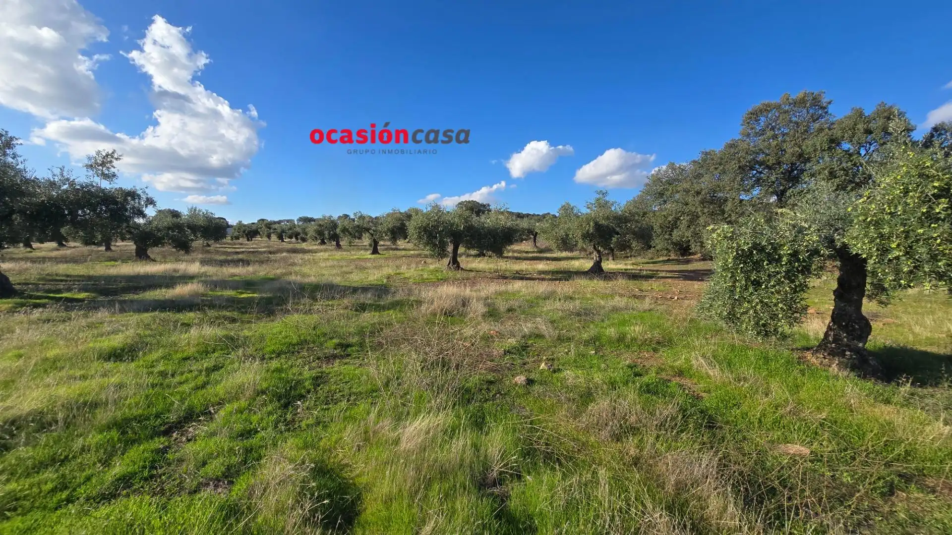 Wohnbaugrundstück zum Verkauf in La Granjuela, imagen 26