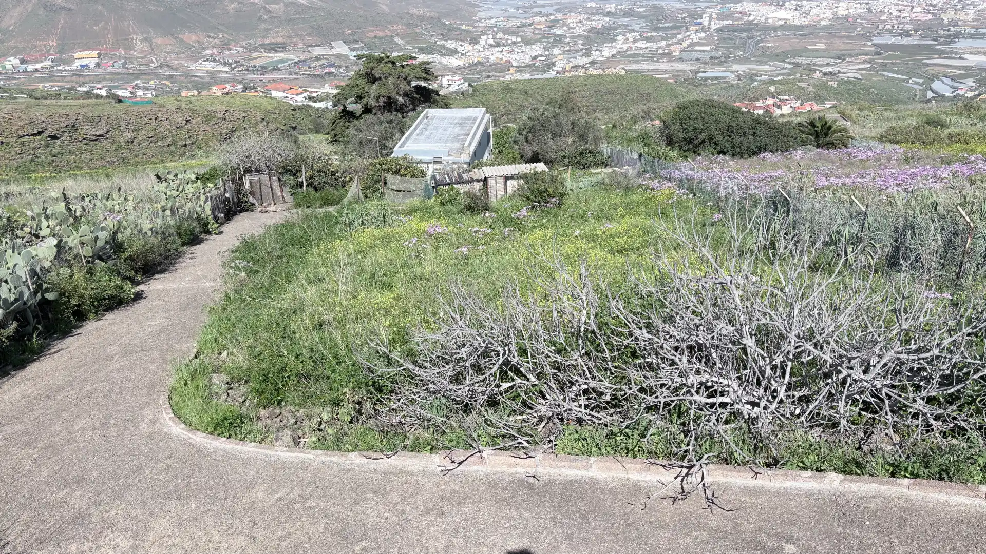 Casa amb jardí en venda a Los Quintana - Piso Firme, imagen 20