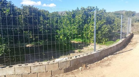 Terreno rústico con naranjos y camino privado  zona sur de Oliva, imatge 3