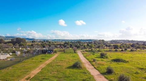 Photo 5 of Land for sale in Son Ramonell - Es Figueral, Marratxí