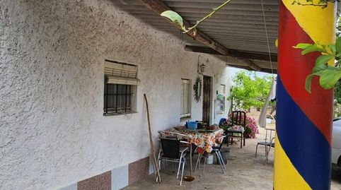 Bonita finca rústica en el Perelló, image 2