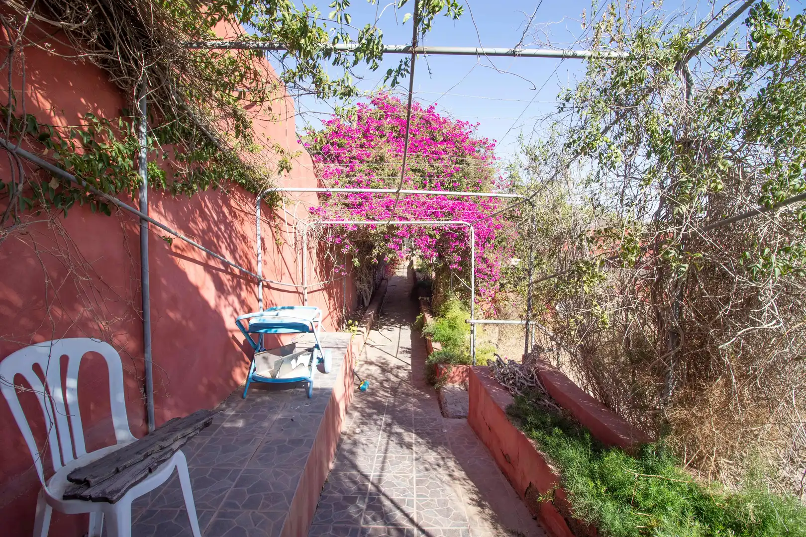Garden of Houses for sale in San Miguel de Abona