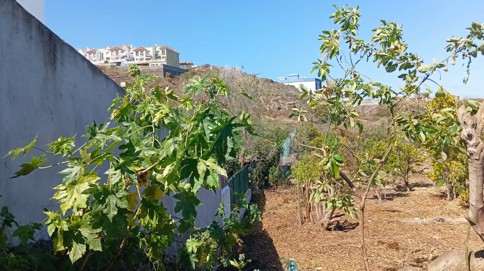 Rural land for sale in San Felipe - San Marcos - Las Cañas, imagen 7