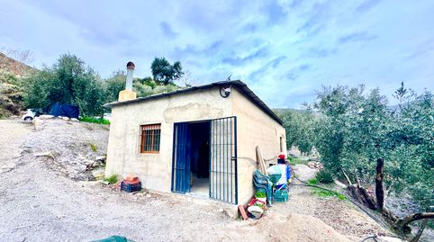 Finca de Olivos con Nave Agrícola en Picena, immagine 5