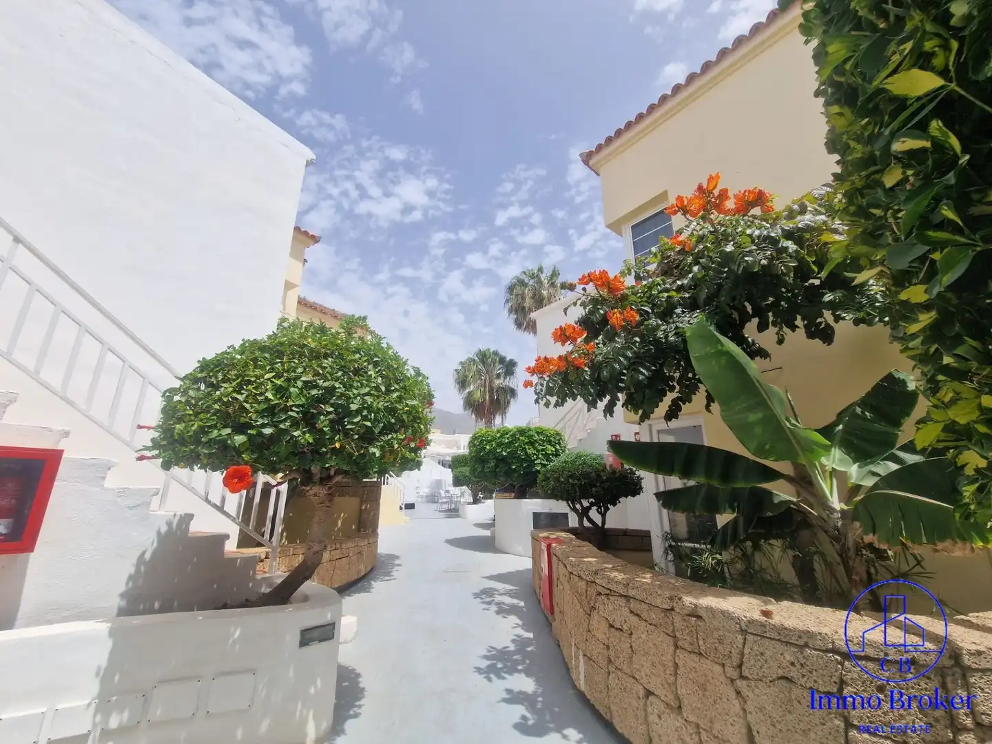 Appartement avec piscine à vendre à Costa Adeje, imagen 33
