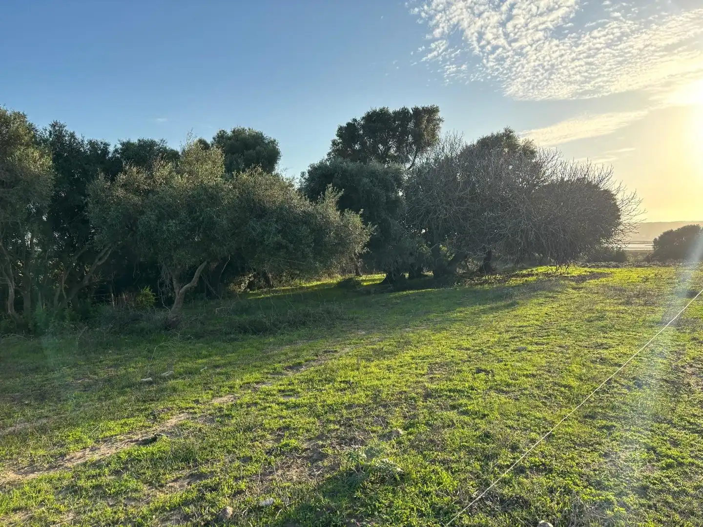 Terreni e lotti in vendita a Vejer, imagen 22