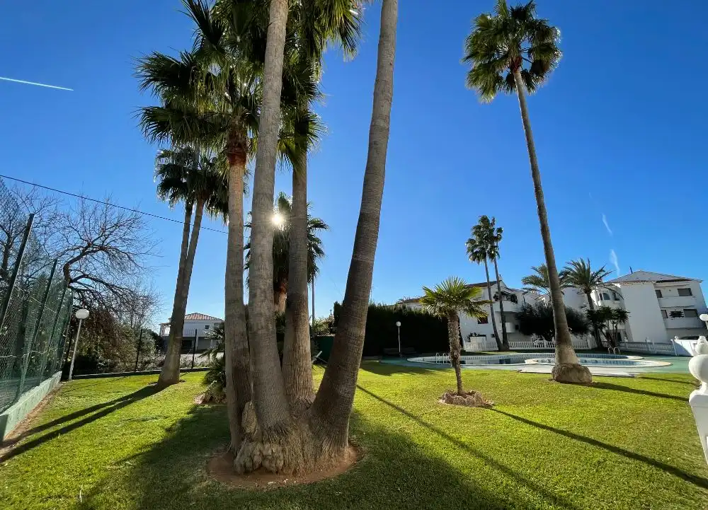 Vista exterior de Pis en venda en Alcalà de Xivert amb Jardí privat, Terrassa i Moblat