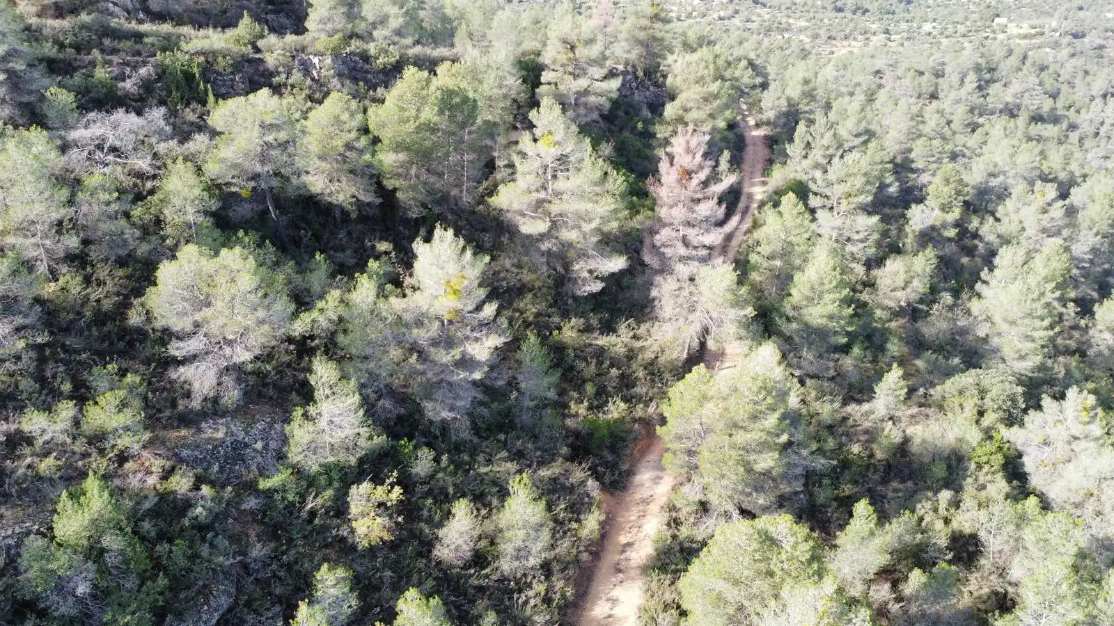 Terreno rustico in vendita a Cervià de Les Garrigues, imagen 39