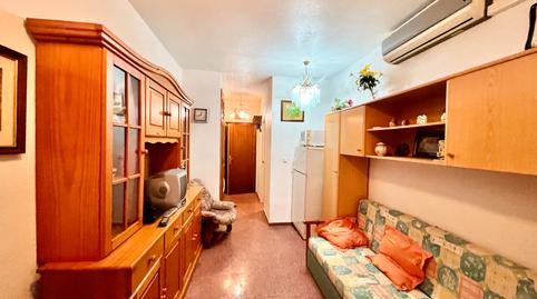 Foto 2 de Estudio en venta en Calle la Loma, 107, Avenida Habaneras - Curva de Palangre, Torrevieja