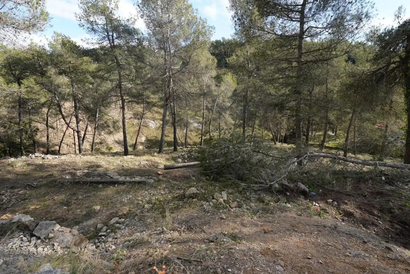 Terrenys i solars en venda a Olesa de Bonesvalls, imagen 9