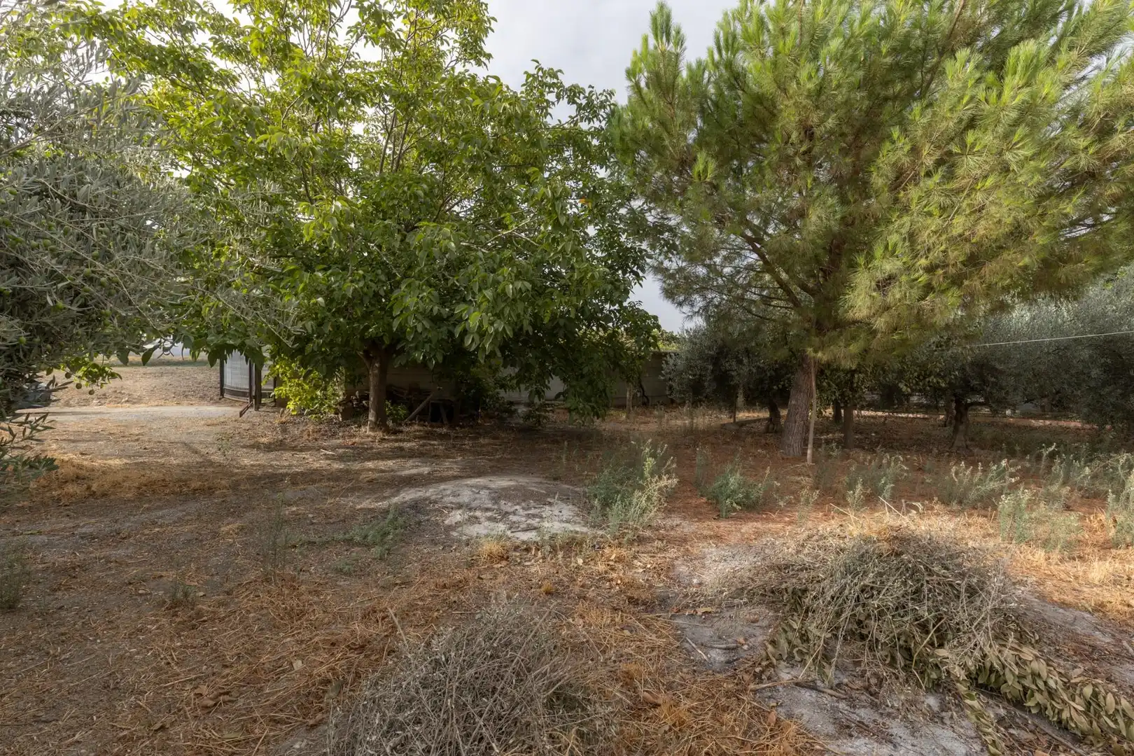 Country homes for sale in Polideportivo