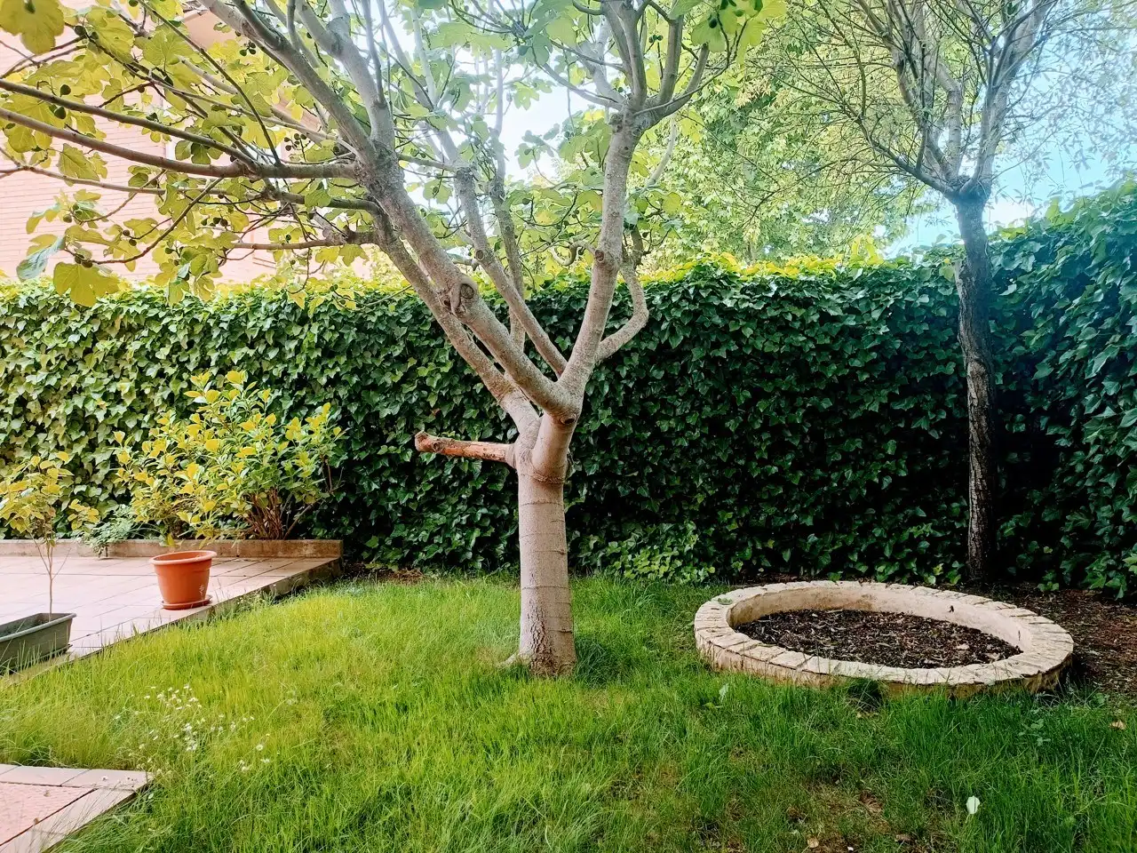 Jardí de Casa o xalet de lloguer en Villaviciosa de Odón amb Calefacció, Parquet i Forn