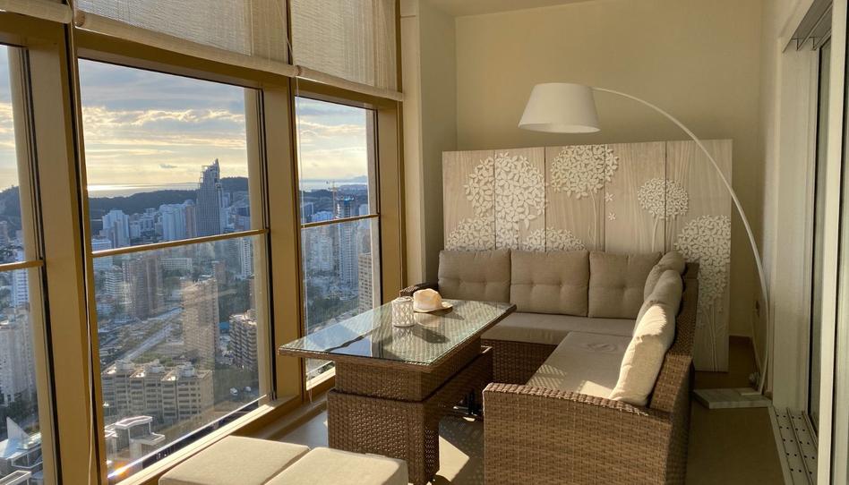 Foto 1 de Apartament de lloguer a Playa Poniente, Alicante