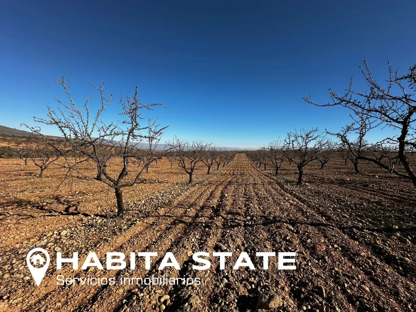 Land for sale in Baza