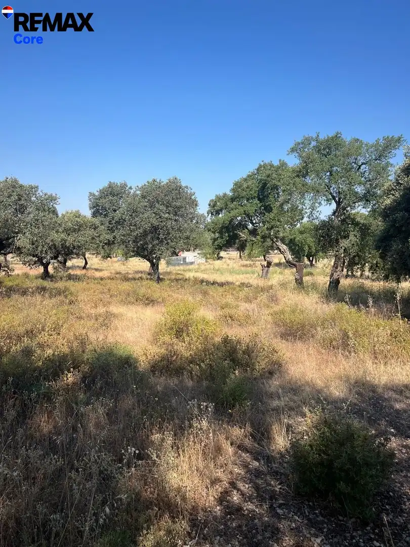 Terreni e lotti in vendita a Las Vaguadas, imagen 17