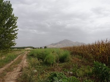 Terreno rustico in vendita a Fuente Vaqueros