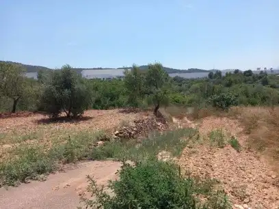 Terreny rústic en venda a PT S 7, imagen 7