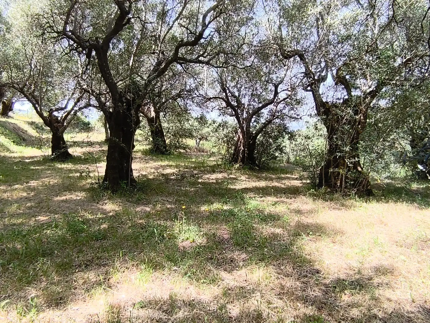 Casa o xalet en venda a Camino del Convento, 41, San Martín de Trevejo